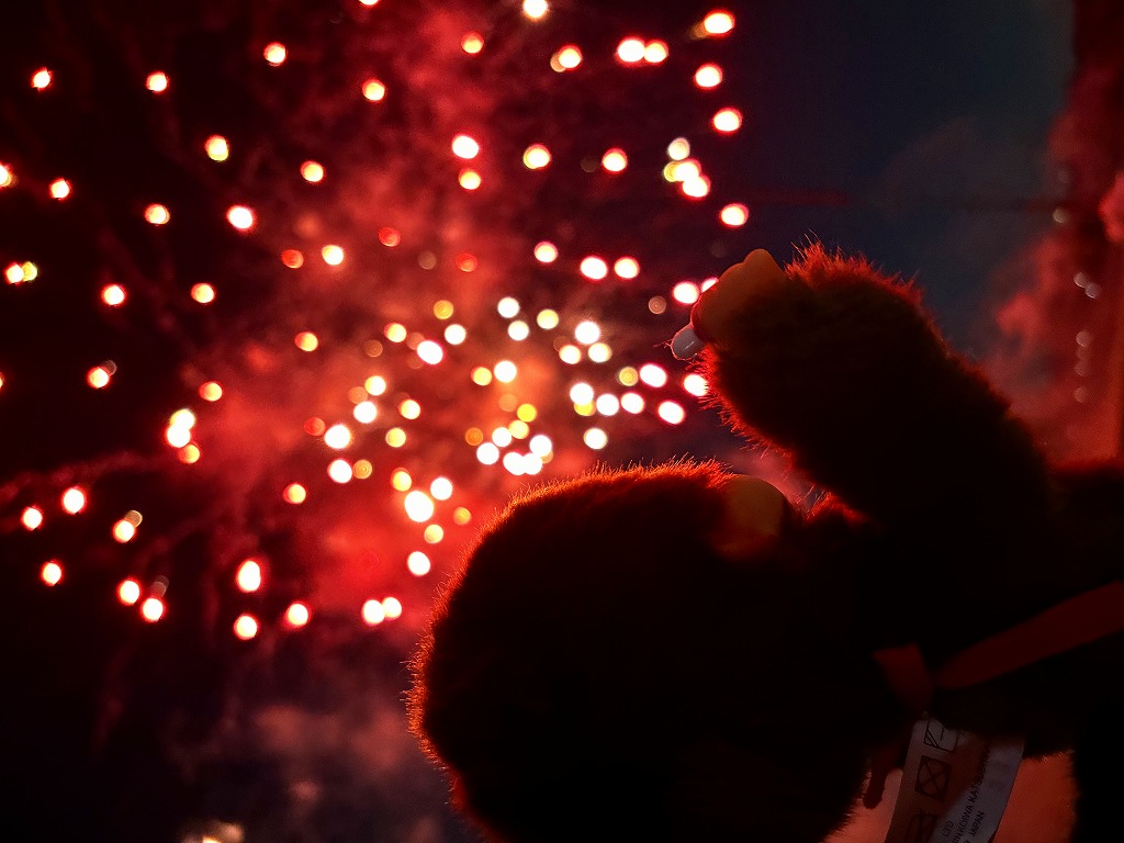 モンチッチがレポート☆】葛飾納涼花火大会に行ってきたモン